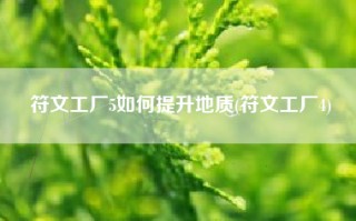 符文工厂5如何提升地质(符文工厂4)