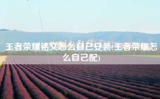 王者荣耀铭文怎么自己安装(王者荣耀怎么自己配)