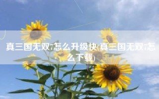 真三国无双7怎么升级快(真三国无双7怎么下载)