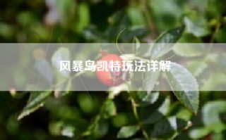风暴岛凯特玩法详解