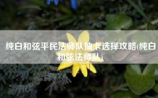 纯白和弦平民法师队抽卡选择攻略(纯白和弦法师队)