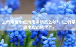 王者荣耀小虎市集活动怎么参与 (王者荣耀小虎市集代码)