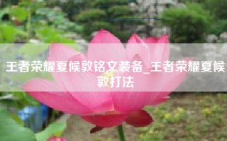 王者荣耀夏候敦铭文装备_王者荣耀夏候敦打法