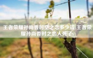 王者荣耀孙尚香时空之恋多少钱(王者荣耀孙尚香时之恋人死了)