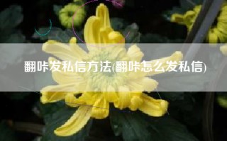 翻咔发私信方法(翻咔怎么发私信)