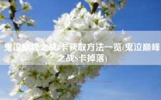 鬼泣巅峰之战s卡获取方法一览(鬼泣巅峰之战S卡掉落)