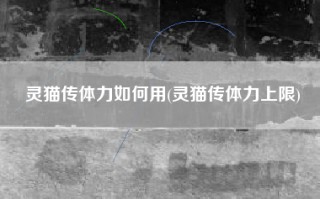 灵猫传体力如何用(灵猫传体力上限)