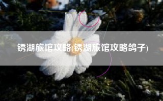 锈湖旅馆攻略(锈湖旅馆攻略鸽子)