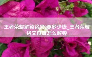 王者荣耀解锁铭文3要多少钱_王者荣耀铭文位置怎么解锁