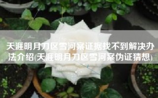 天涯明月刀区雪河案证据找不到解决办法介绍(天涯明月刀区雪河案伪证猜想)