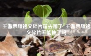 王者荣耀铭文碎片箱去哪了_王者荣耀铭文碎片不能抽了吗