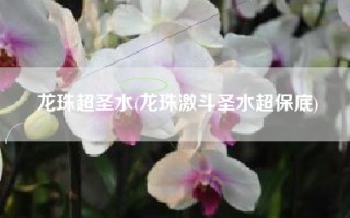 龙珠超圣水(龙珠激斗圣水超保底)