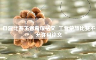 自建比赛王者荣耀铭文_王者荣耀比赛不允许用铭文