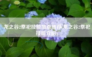 龙之谷2祭祀技能加点推荐(龙之谷2祭祀技能介绍)