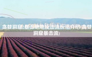 贪婪洞窟2暴击绝地反击流玩法介绍(贪婪洞窟暴击流)