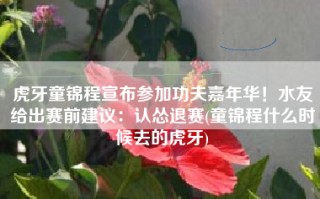 虎牙童锦程宣布参加功夫嘉年华！水友给出赛前建议：认怂退赛(童锦程什么时候去的虎牙)