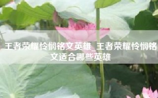 王者荣耀怜悯铭文英雄_王者荣耀怜悯铭文适合哪些英雄
