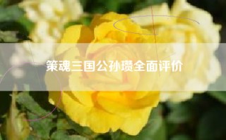 策魂三国公孙瓒全面评价
