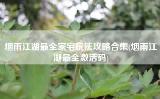 烟雨江湖最全家宅玩法攻略合集(烟雨江湖最全激活码)
