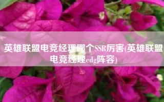 英雄联盟电竞经理哪个SSR厉害(英雄联盟电竞经理edg阵容)