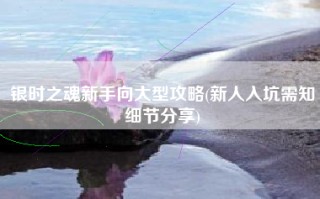 银时之魂新手向大型攻略(新人入坑需知细节分享)