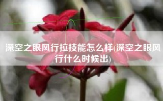 深空之眼风行拉技能怎么样(深空之眼风行什么时候出)