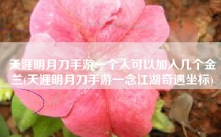 天涯明月刀手游一个人可以加入几个金兰(天涯明月刀手游一念江湖奇遇坐标)