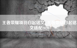 王者荣耀项羽白起铭文_王者荣耀白起铭文搭配2020