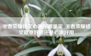 王者荣耀铭文心眼在哪里买_王者荣耀铭文献祭好用还是心眼好用