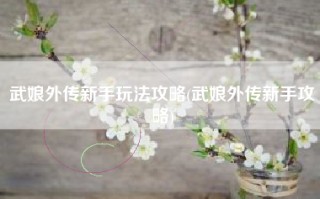 武娘外传新手玩法攻略(武娘外传新手攻略)