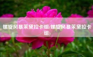 螺旋风暴茉黛拉卡组(螺旋风暴茉黛拉卡组)