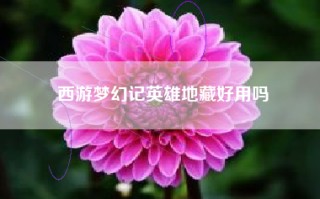 西游梦幻记英雄地藏好用吗