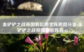 金铲铲之战帝国刺后期变阵思路分享(金铲铲之战帝国刺客阵容s6)