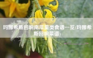 玛娜希斯回响南瓜羹类食谱一览(玛娜希斯回响菜谱)
