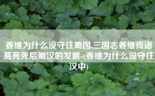 姜维为什么没守住蜀国,三国志姜维传诸葛亮死后蜀汉的发展-(姜维为什么没守住汉中)