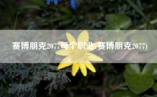 赛博朋克2077每个职业(赛博朋克2077)