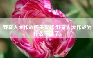 野蛮人大作战闯关攻略(野蛮人大作战为什么下架了)