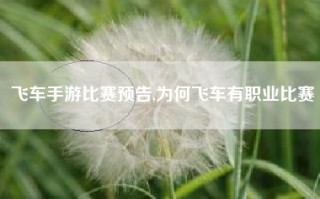飞车手游比赛预告,为何飞车有职业比赛