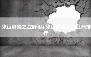 鬼泣巅峰之战野狼A(鬼泣巅峰之战武器排行)