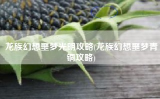龙族幻想噩梦光明攻略(龙族幻想噩梦青铜攻略)