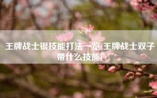 王牌战士银技能打法一览(王牌战士双子带什么技能)