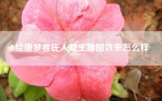 绘唐梦卷氐人女王推图效率怎么样