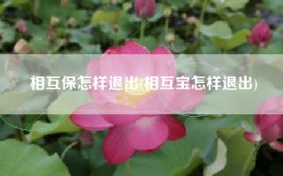 相互保怎样退出(相互宝怎样退出)