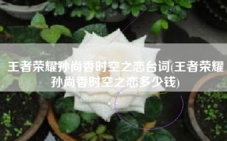 王者荣耀孙尚香时空之恋台词(王者荣耀孙尚香时空之恋多少钱)