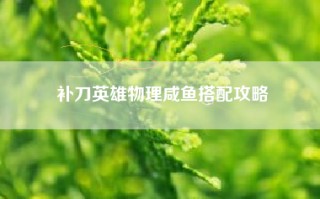 补刀英雄物理咸鱼搭配攻略