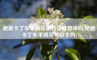 跑跑卡丁车手游买通行证算首冲吗(跑跑卡丁车手游买号安全吗)