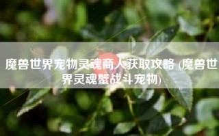 魔兽世界宠物灵魂商人获取攻略 (魔兽世界灵魂蟹战斗宠物)