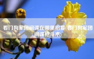 看门狗军团间谍在哪里招募(看门狗军团间谍枪斗术)