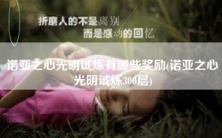 诺亚之心光明试炼有哪些奖励(诺亚之心光明试炼300层)