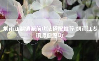 烟雨江湖镇派前功法搭配推荐(烟雨江湖镇派血魔功)